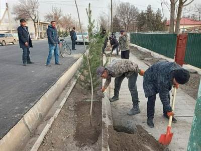Нарзулло ОБЛОМУРОДОВ:    Лойиҳалаштириш ва қурилиш  жараёнида ҳар бир туп дарахт  алоҳида эътиборга  олиниши лозим